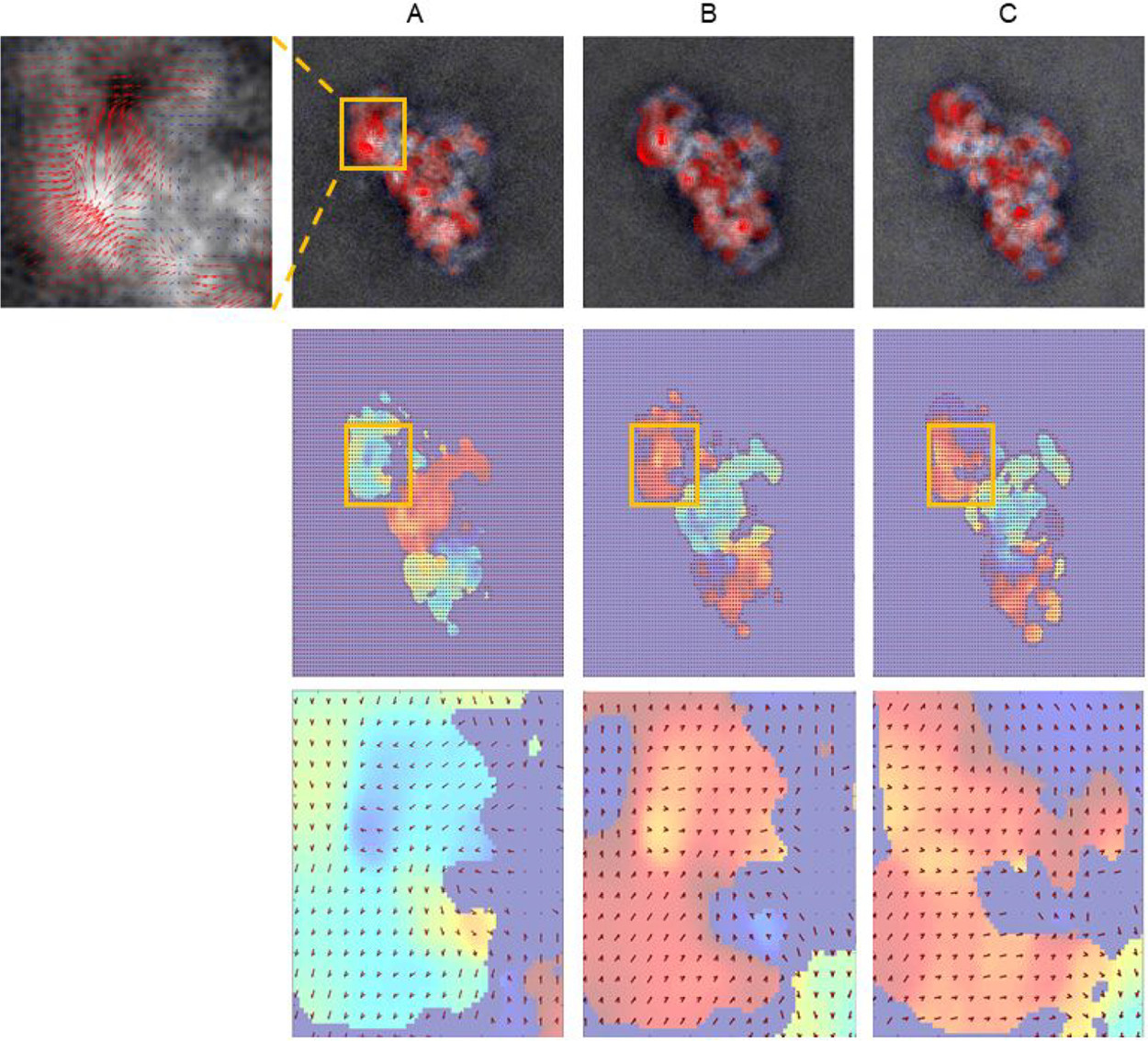 Reaction-coordinate propagation across projection directions-optical flow (Maji et al. 2020)